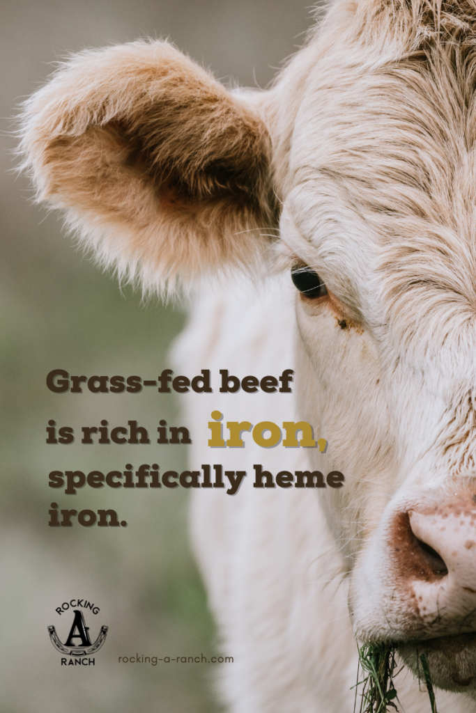 Grass-fed beef (or freezer beef) is rich in iron, specifically heme iron, making grass-fed beef healthier than grain-fed beef.